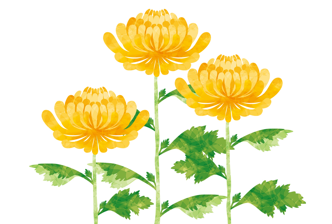 年末のお仏壇まわり点検、もうお済みですか？